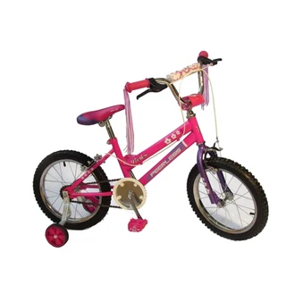Flower Power Pedals Bike with Training Wheels [Pink] (16 inch)