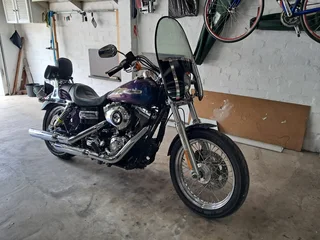 2010 Harley-Davidson