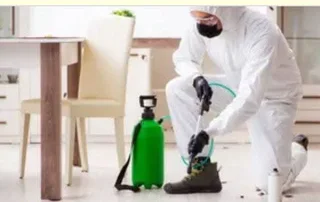 Pest Control, Fumigation & Rodent Control Services In Cape Town Area