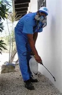 Weeds Eradication & Pest Control Services In Cape Town Area