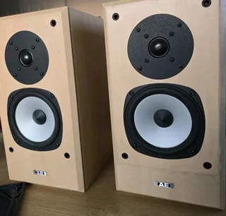 Acoustic Energy AEGIS EVO ONE