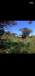 Large plot for sale Betty’s Bay 3255m2