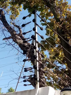 Electric Fence Repair