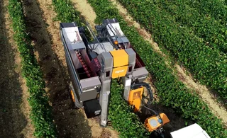 2nd Hand Pellenc GL45 Pull Type Grape Harvester