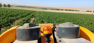 New GL60 Pull Type Grape Harvester with leafe sorter