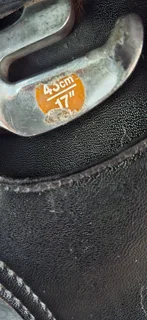 Wintec saddle for sale/swop