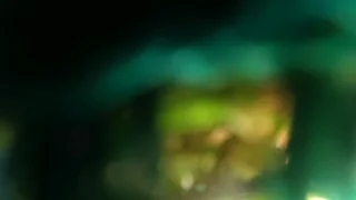 Shell Nautilus outboard 2 stroke for sale