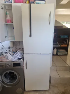Double Door Upright Freezer