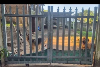 Double Galvanized Gates