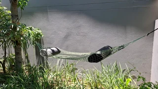 Mesh hammock super foldable and ultralight