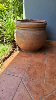 Large 500mm x 500mm terracotta pot plant
