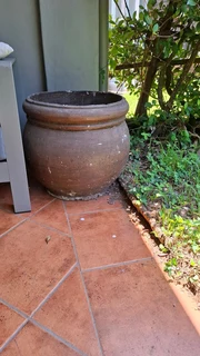 Large 500mm x 500mm terracotta pot plant