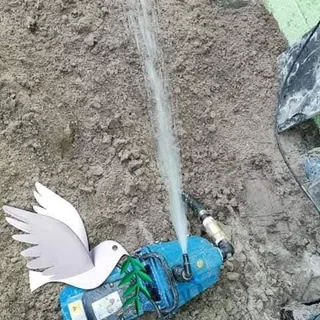 Borehole and wellpoint  installation