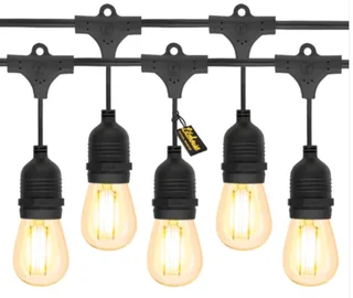 Festoon String Lights