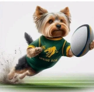 Looking after animals