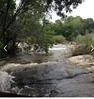 SOLD Christmas week timesheets at Kruger Park Lodge