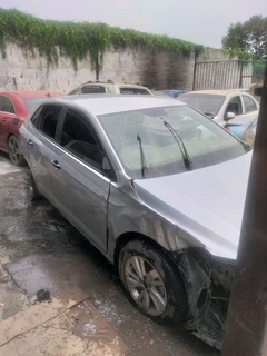 Polo 8 1.0 for stripping