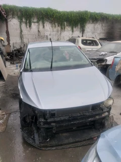 Polo 8 1.0 for stripping