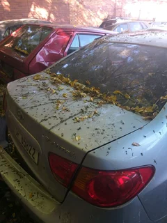 Hyundai Elantra 1.6 for stripping for part