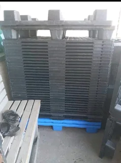 Light plastic pallets for sale 1.2x1m