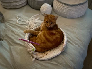 Pet sleepers Handmade crocheted 100% cotton for sale.