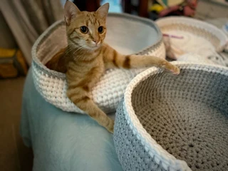 Pet sleepers Handmade crocheted 100% cotton for sale.