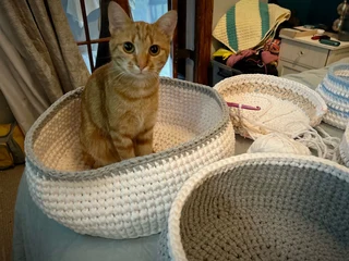 Pet sleepers Handmade crocheted 100% cotton for sale.