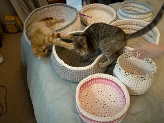 Pet sleepers Handmade crocheted 100% cotton for sale.