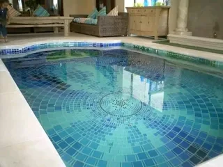 Paint techniques ,murals,fine art