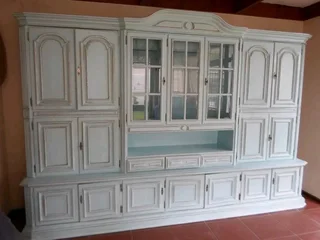 Paint techniques ,murals,fine art