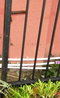 Double Swing Steel Driveway Gates with Hinges