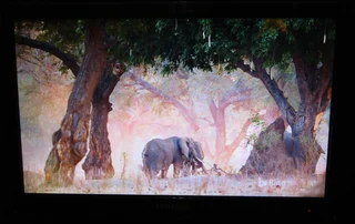 Samsung Syncmaster P2250 / Lr22ws