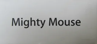 Apple Mighty Mouse - USB