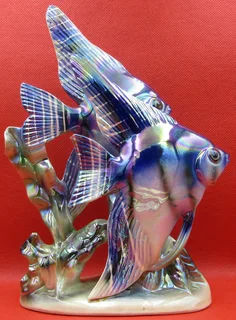 Porcelain Angelfish