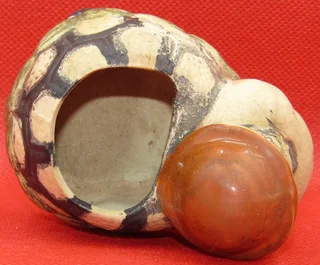 Vintage Ceramic Tortoise with Planter