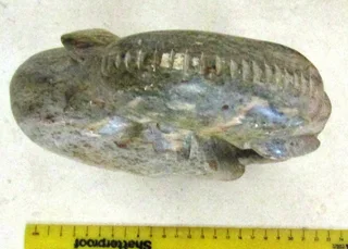 Hand Carved African Stone Elephant