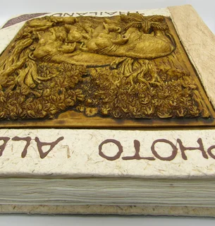 Photo Album - like you&#39;ve never seen it before