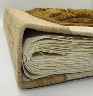 Photo Album - like you&#39;ve never seen it before