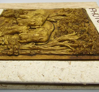 Photo Album - like you&#39;ve never seen it before