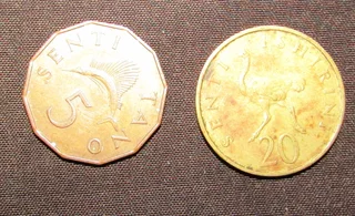 Assorted Tanzanian Coins - 1966