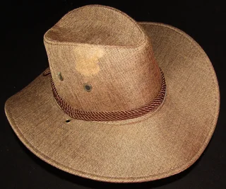 Costume Cowboy Hat - Fedora Style