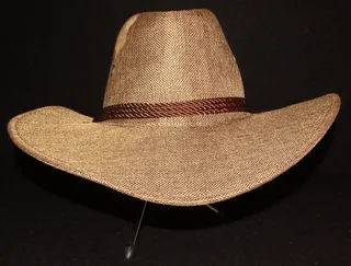 Costume Cowboy Hat - Fedora Style