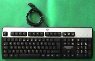 HP KU-0316 Wired USB Computer Keyboard Silver and Black