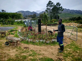 Organic Gardener, Painter, General Worker Available