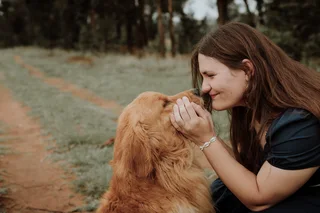 Registered Golden Retriever Puppies