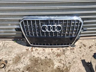Audi Grills Front