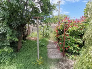 Three bedroom house for rent