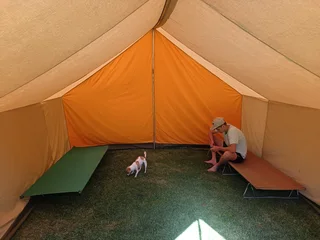 Tent/ Gazebo