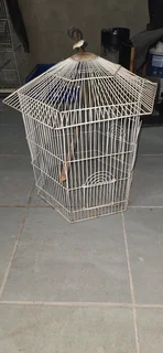 bird cage