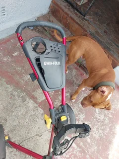 4wheel Golf push cart